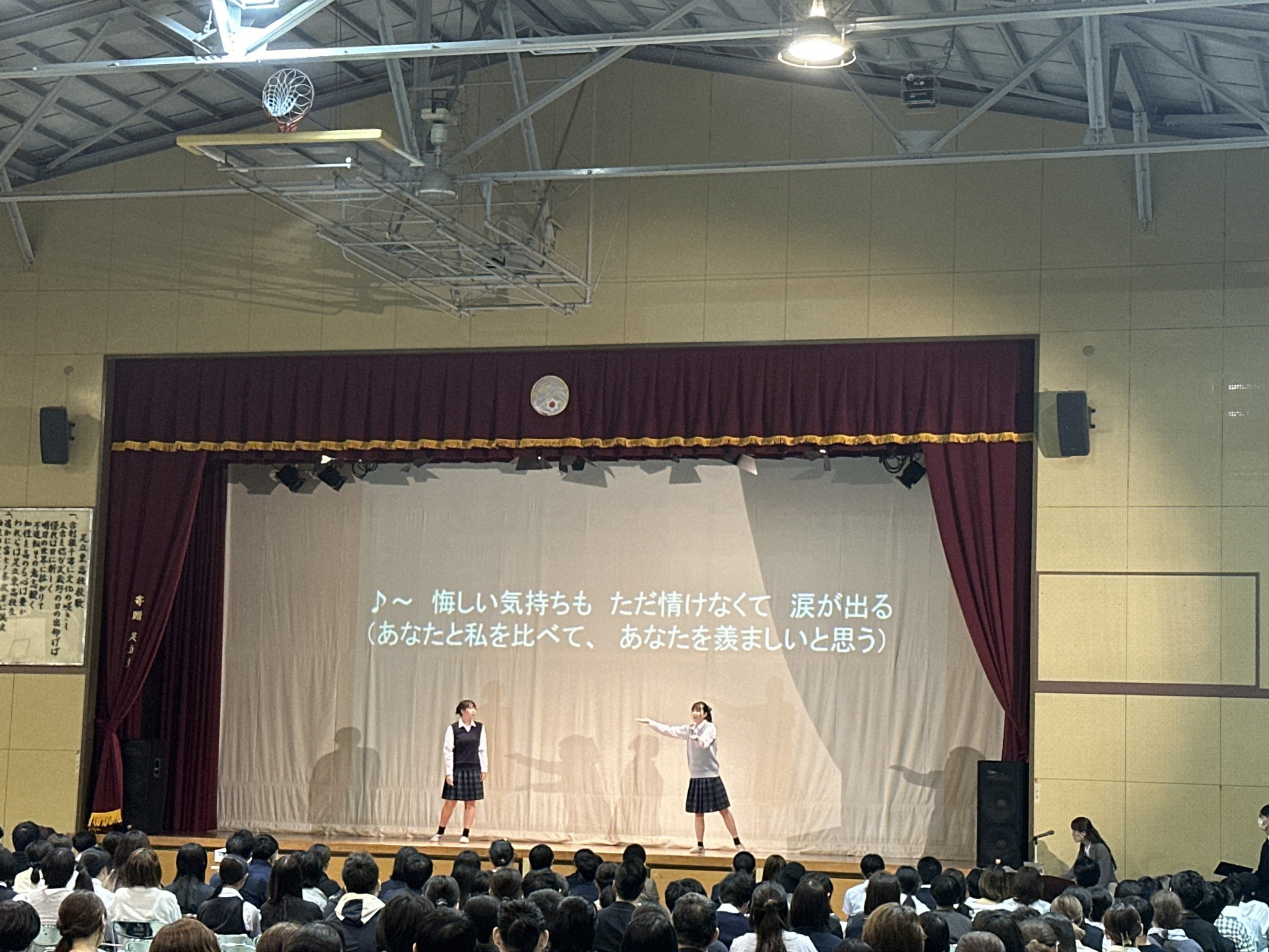Image (10)